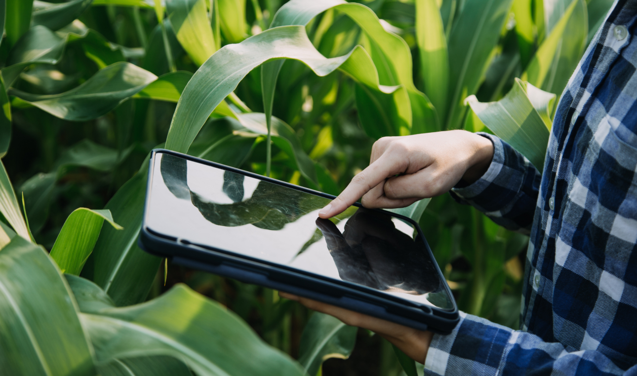 farmer utilizing internet for plant care