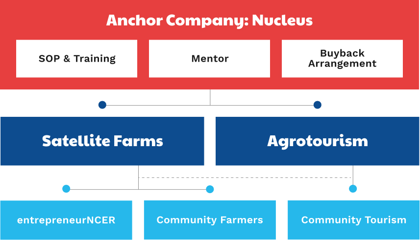 Anchor Company:Nucleus