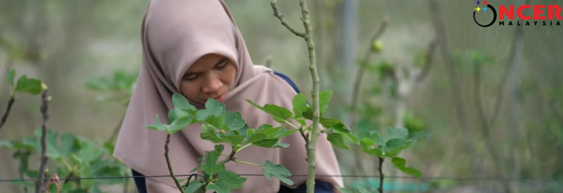 Nurul Ain Azizan