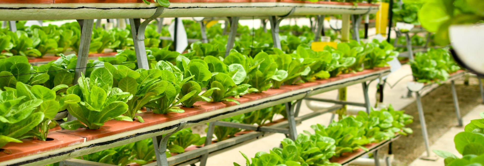 modern agriculture