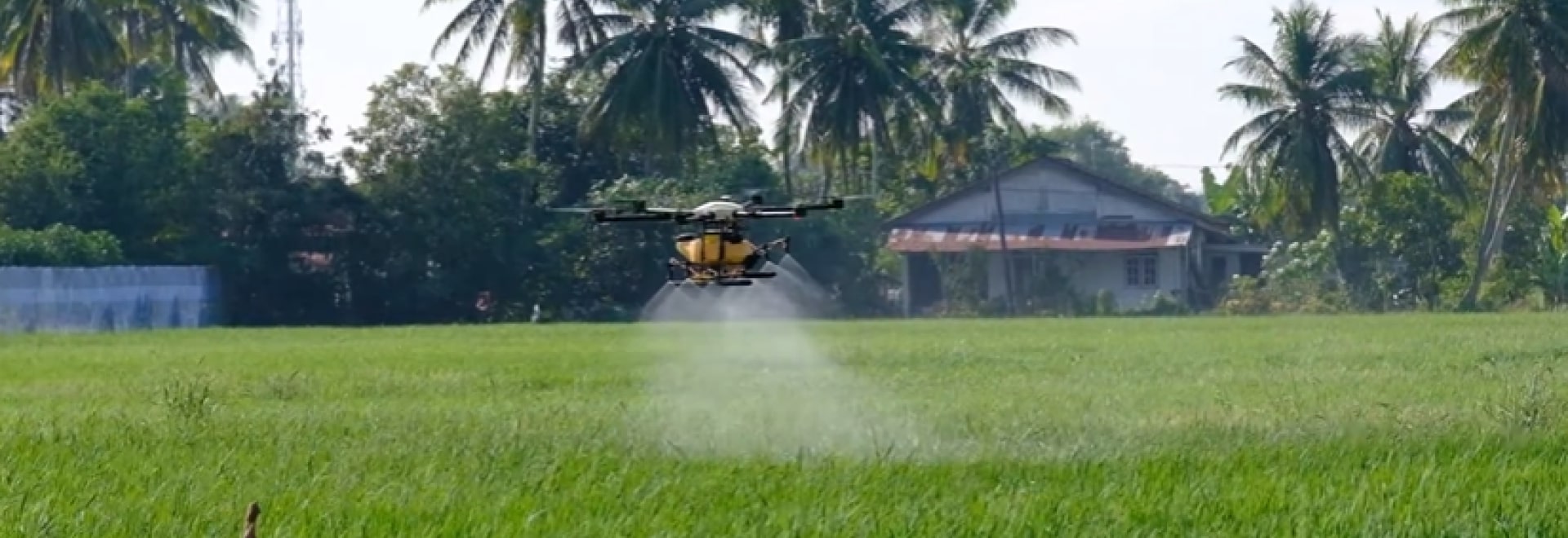 drone on a field