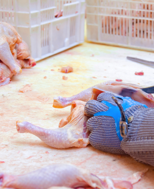 A person cutting raw chicken