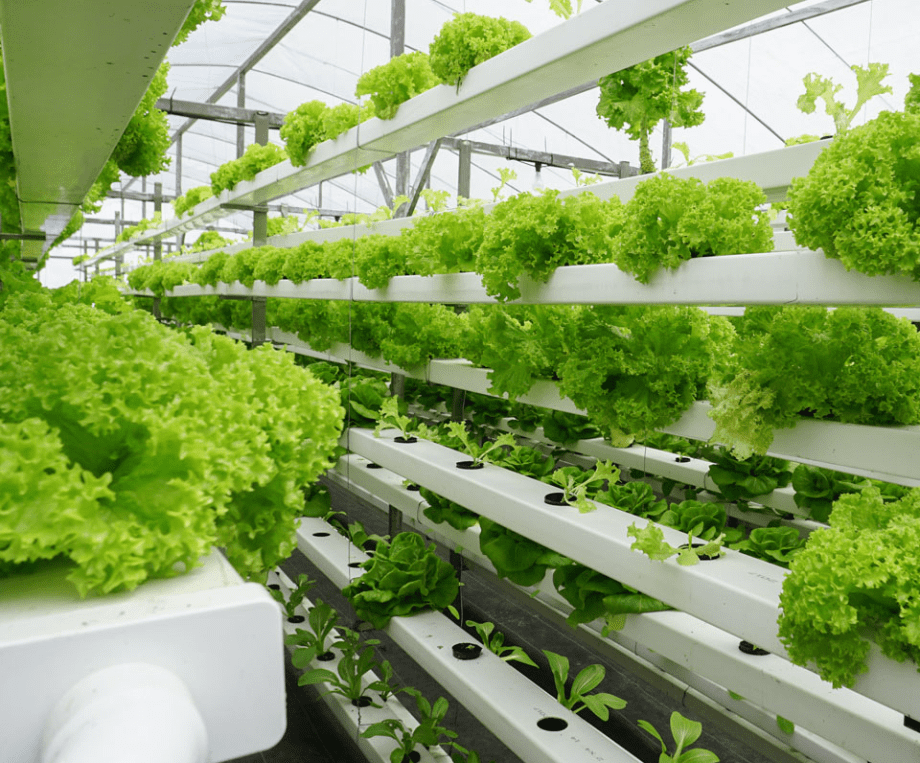 Agribusiness