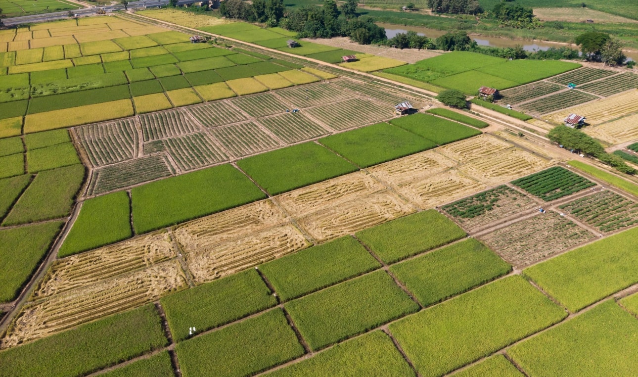 aerial view on lands