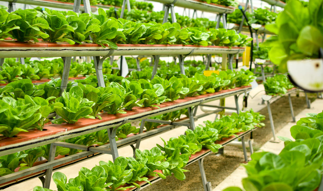 modern agriculture