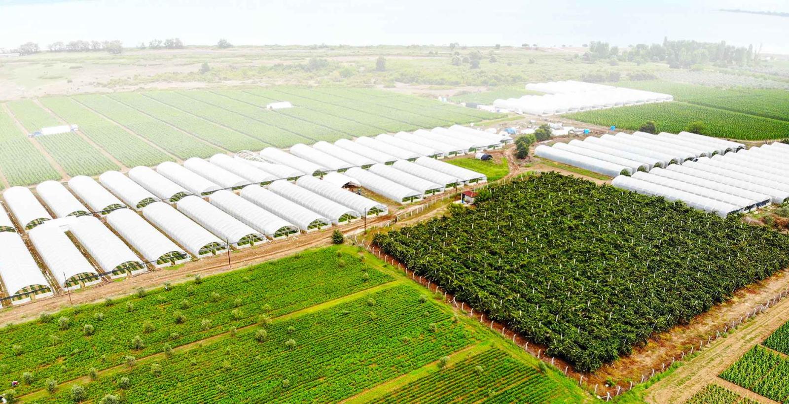 NCER Agri Economic Zone