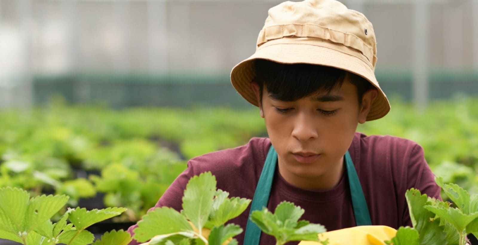 man with plants